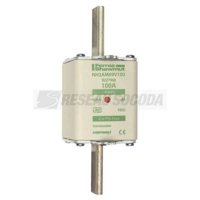  NH 2 100A 690V AM 