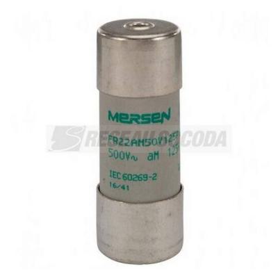  500V CP 22X58 AM 125A P 