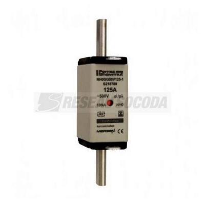  NH 0 125A 500V GG SGL 