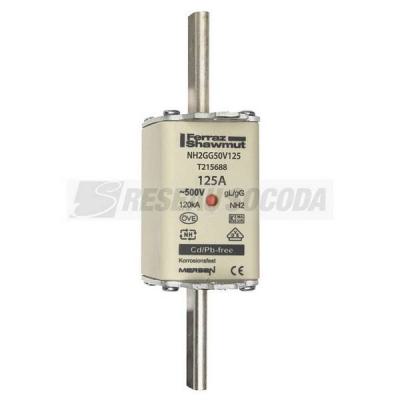  NH 2C 125A 500V GG 