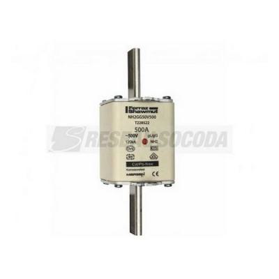  NH 2 500A 500V GG 