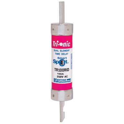  250V 100A TD RK5 FUSE SMARTSPO 
