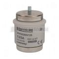  DV-FUSE 500V 125A GL-GG 