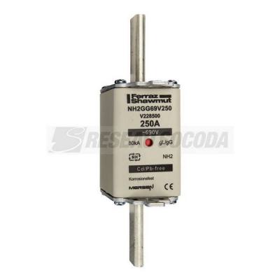  NH 2C 250A 690V GG 