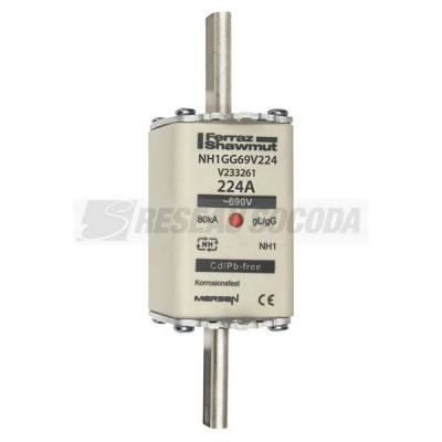  NH 1 224A 690V GG 