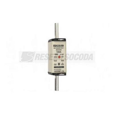  NH 1C 100A 500V GG SGL 