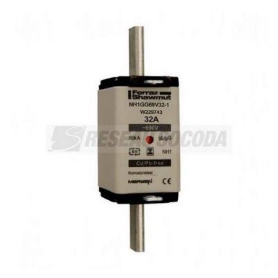  NH 1C 32A 690V GG SGL 