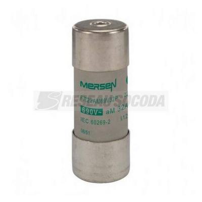  690V CP 22X58 AM 32A P 