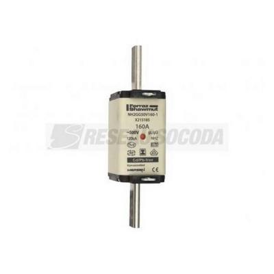  NH 2C 160A 500V GG SGL 