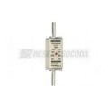  NH 1C 100A 500V GG 