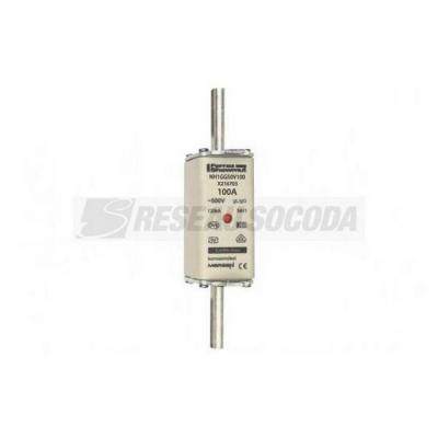 NH 1C 100A 500V GG 