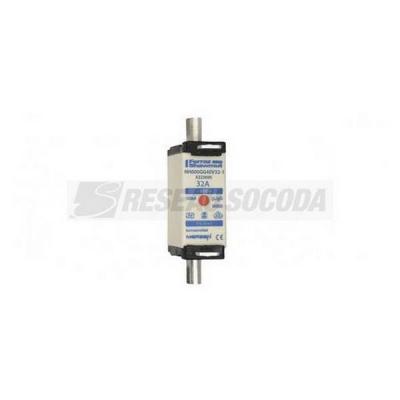  NH 000 32A 400V GG SGL 
