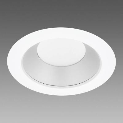  JET 250 Matt Led Cob Dali 46W 
