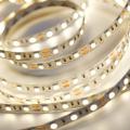  STRIP LED Ip20 60W L5M 300 Led 