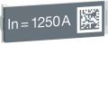  Calibreur 1250A 