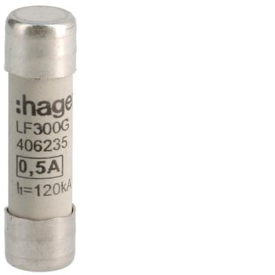  Fusibles cylindrigue 10x38mm g 