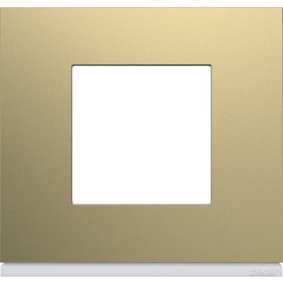  Plaque gallery 1P champagne 
