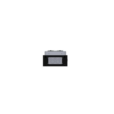  Borne witty park 2 2x22kW T2S+ 