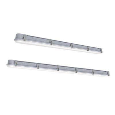  CAIMAN VERSA Gris 