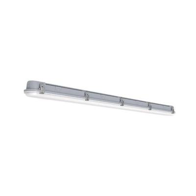 CAIMAN VERSA Gris 