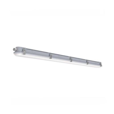  CAIMAN QUICK CONNECT Gris 