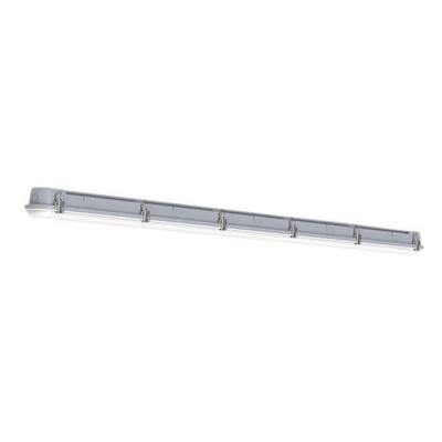  CAIMAN VERSA Gris 
