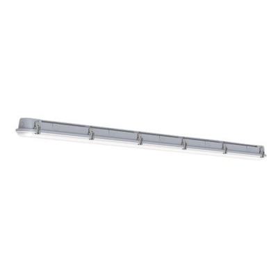  CAIMAN VERSA Gris 