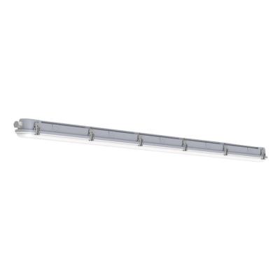  CAIMAN QUICK CONNECT Gris 