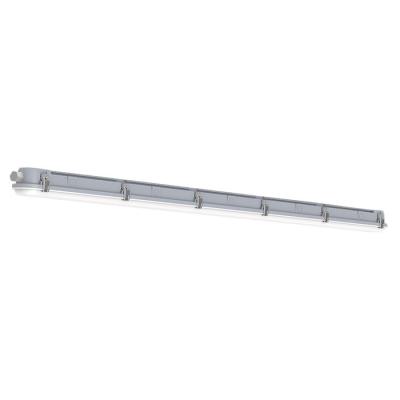  CAIMAN QUICK CONNECT Gris 