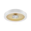  HULA C Blanc mat - Dor� 