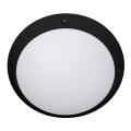  TIMY SENSOR EVO Noir 