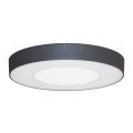  ASPI 1 SENSOR PLUS Anthracite 