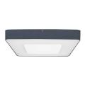  ASPI 2 SENSOR PLUS Anthracite 