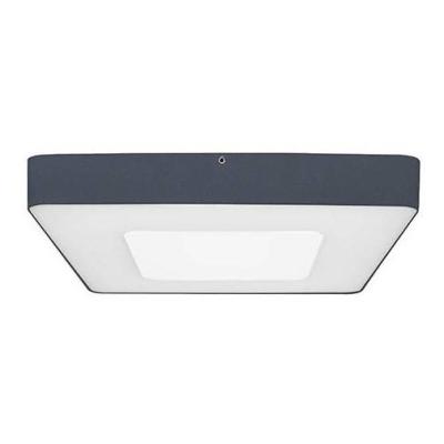  ASPI 2 SENSOR PLUS Anthracite 