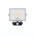  CURTIS SENSOR PLUS 30W Anth 