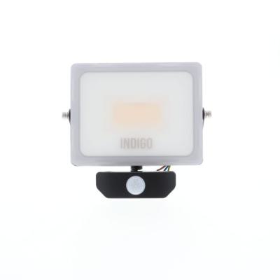  CURTIS SENSOR PLUS 30W Anth 