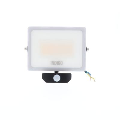  CURTIS SENSOR PLUS 50W Anth 