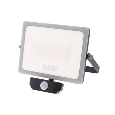  CURTIS SENSOR PLUS 50W Anth 