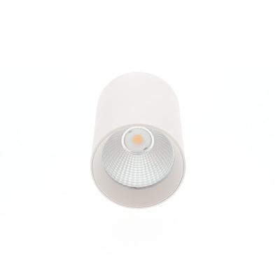  LUZ 1 Blanc 