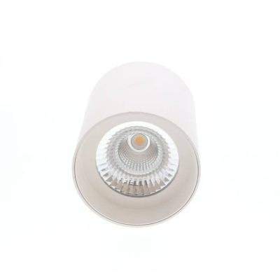  LUZ 2 Blanc 