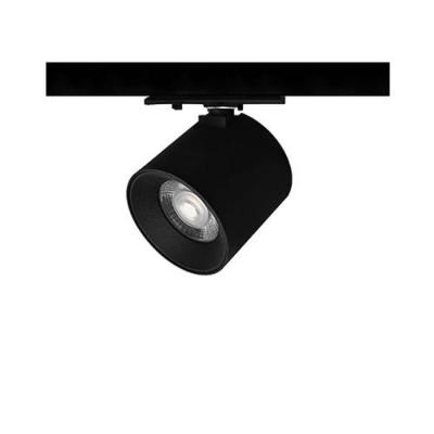  RAY Noir 