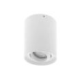  ALBA R GU10 Blanc 