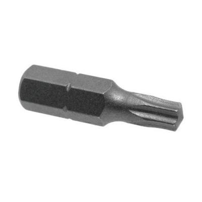  EMBOUT TORX 25 Sachet de 2 