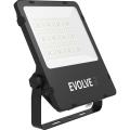  Evolve2 150W 3000K 60gr noir E 