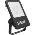  Evolve2 45W 4K double asym 2x6 