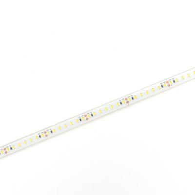  RUBAN PERFORMANCE 1000Lm/m  IP 
