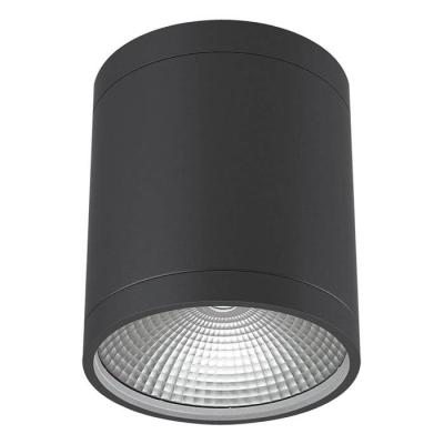  SD54 25W 2330Lm 4K 24� - STD 
