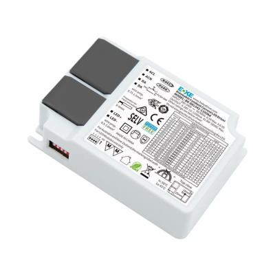  Driver 42W DALI/BP 