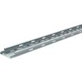  P31-DALLE M/F 50X100 GS 