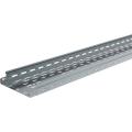  P31-DALLE M/F AUTO 50X75 304 